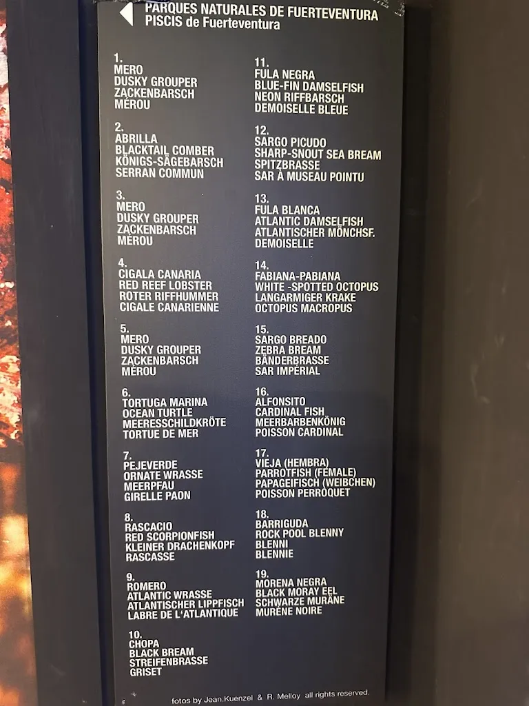 Menu_Casa Naturaleza_Betancuria_image_4