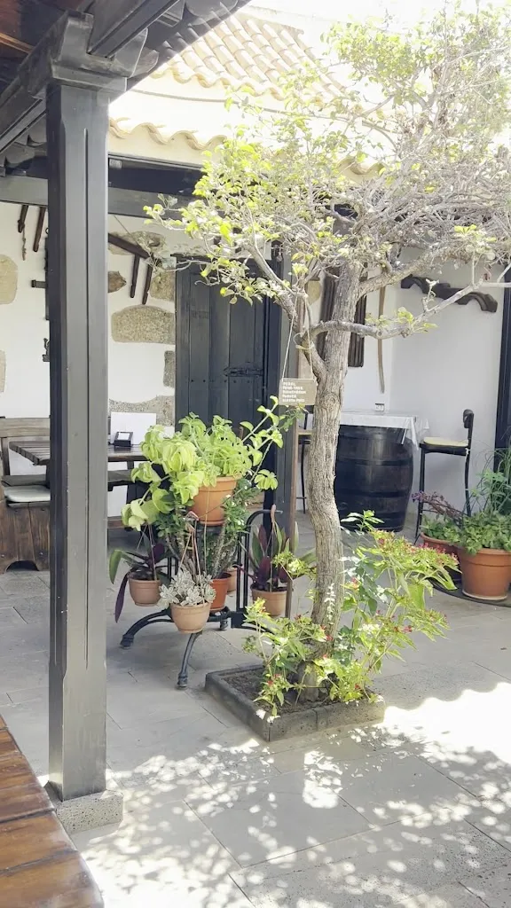 Bodegon Don Carmelo_Betancuria_slider_image_2