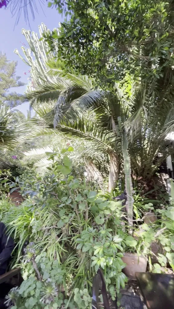 Terrazza Santa Maria_Betancuria_slider_image_2