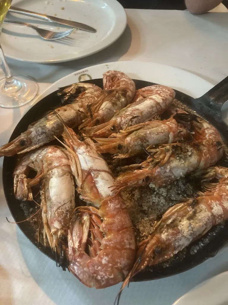 Lynn Judith Thomson_Restaurante El Cápita_Agaete_review