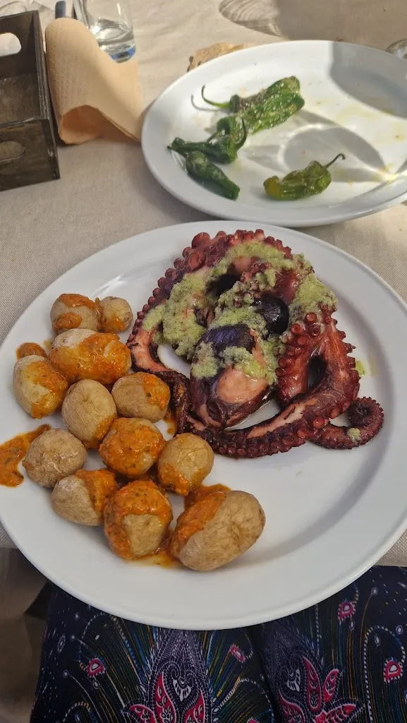 Julia Sjöström_La Guarida Del Caballo_Agaete_review