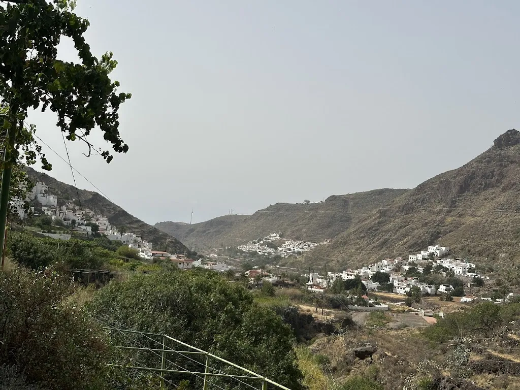 Pascal_Bodega Los Berrazales_Agaete_review