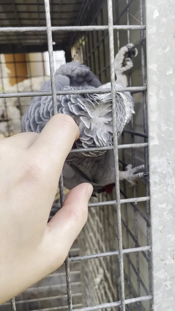 Mikołaj N_Bodega Los Berrazales_Agaete_review