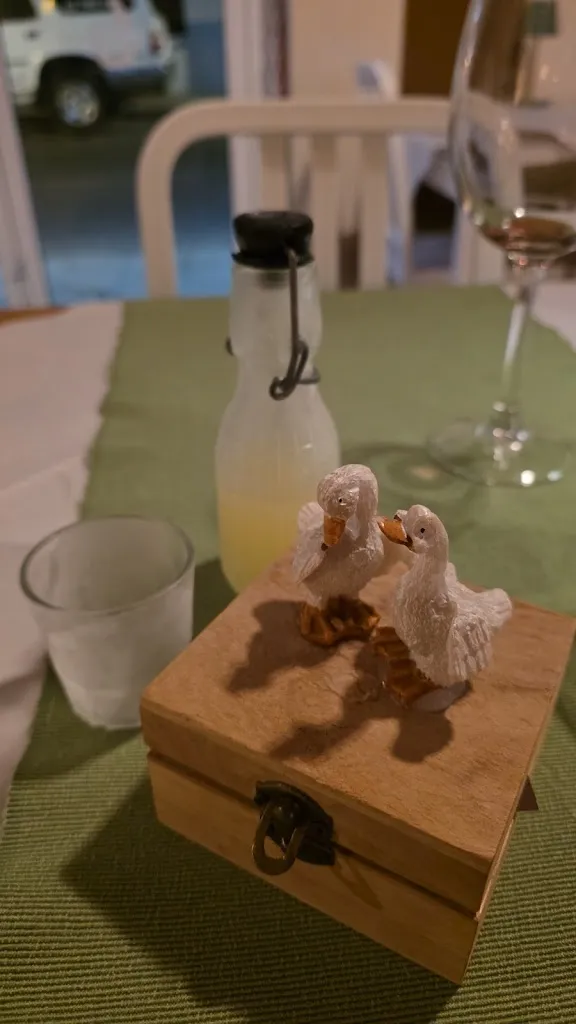 Nathan_L'Oca Blanca_Corralejo_review