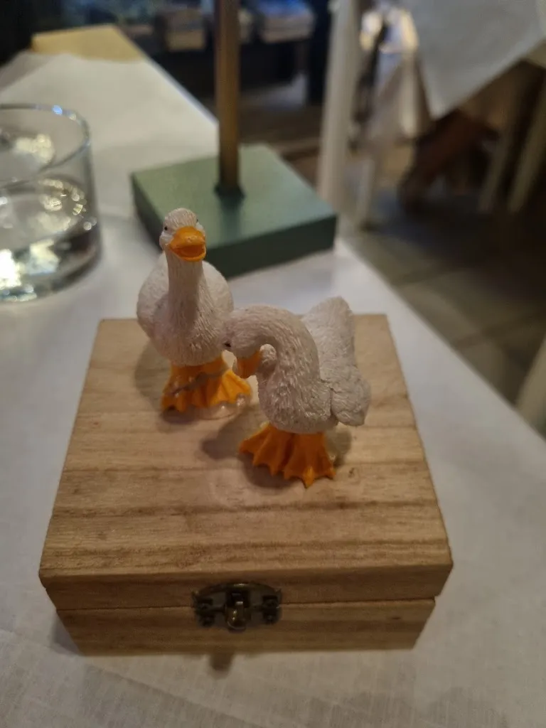 Alison Slack_L'Oca Blanca_Corralejo_review