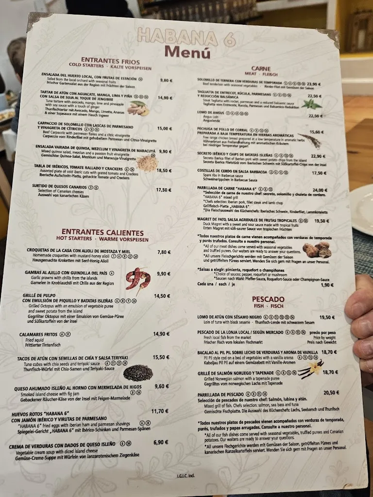Menu_Habana 6_Costa Teguise_image_1