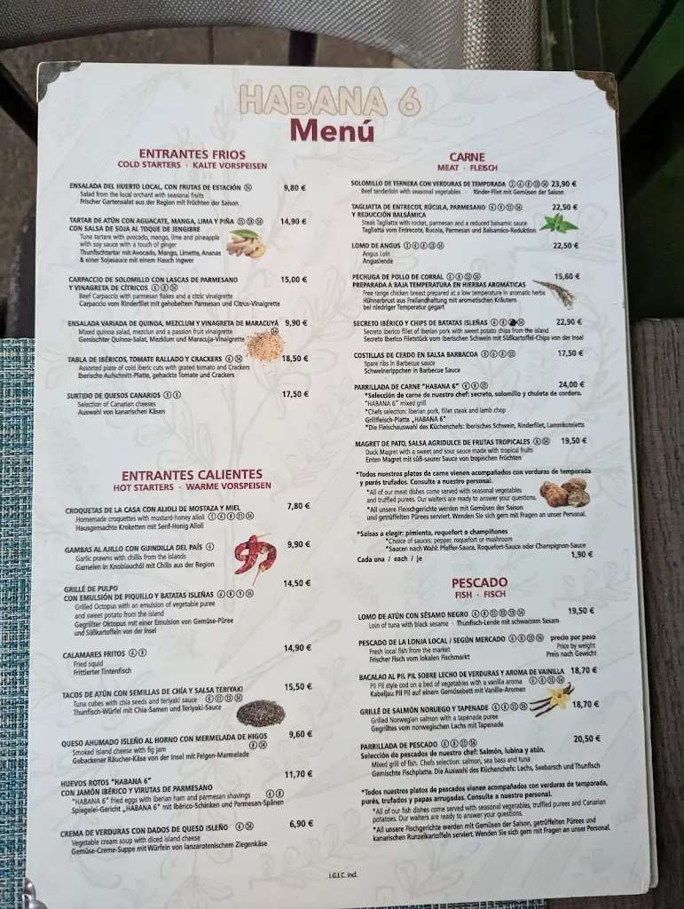 Menu_Habana 6_Costa Teguise_image_3