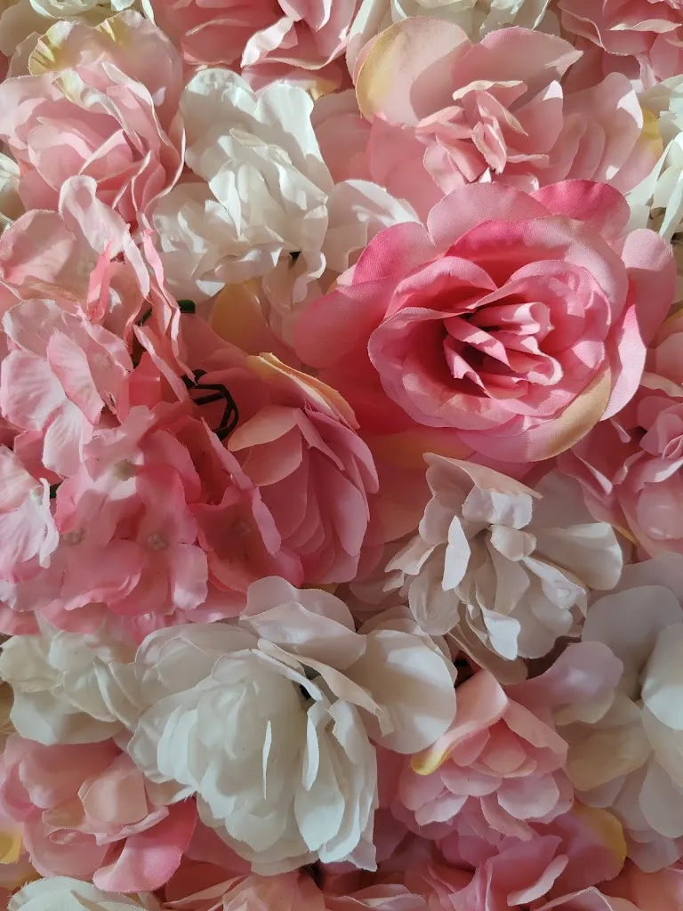 Rob Bulman_DIVINE INDIA_Costa Teguise_review