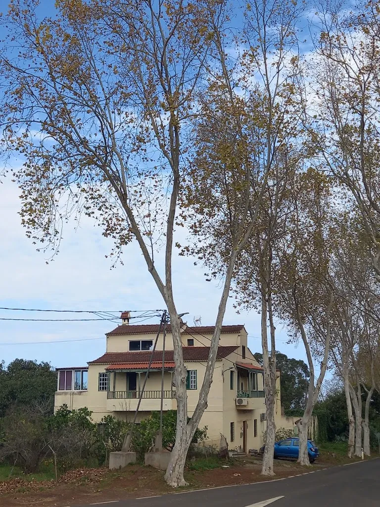 Juan Romero_Mesón Grill Los Chorros_Firgas_review