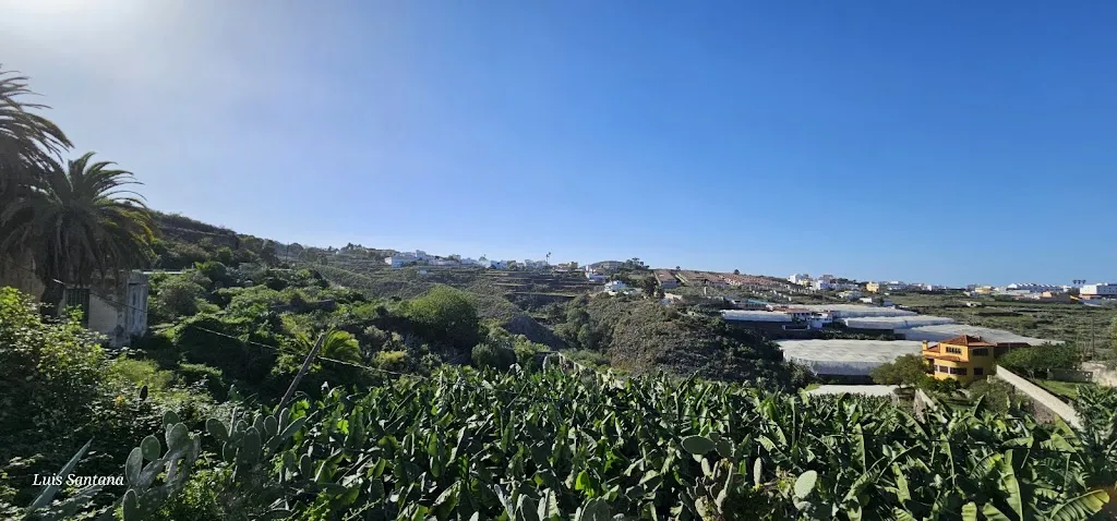 Luis Santana_Restaurant El CORTIJO_Firgas_review