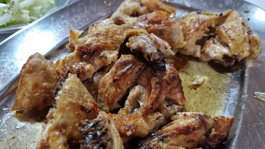 Ellie The Goldendoodle_Palladium_Guia_review