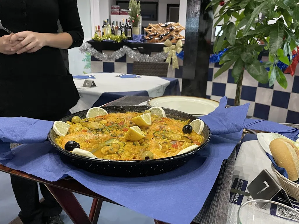 Abe Appell_Terraza del gato_Costa Calma_review