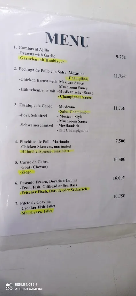 Menu_BAR DARI DARI_Costa Calma_image_3