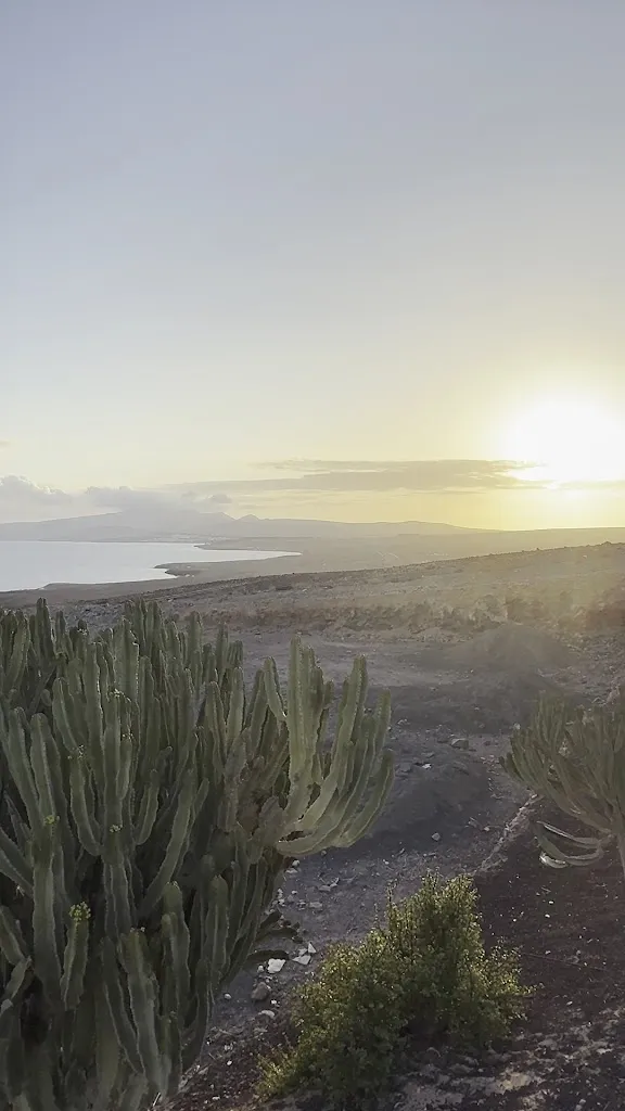 Philip Schenk_Restaurante Mirador de Sotavento_Costa Calma_review