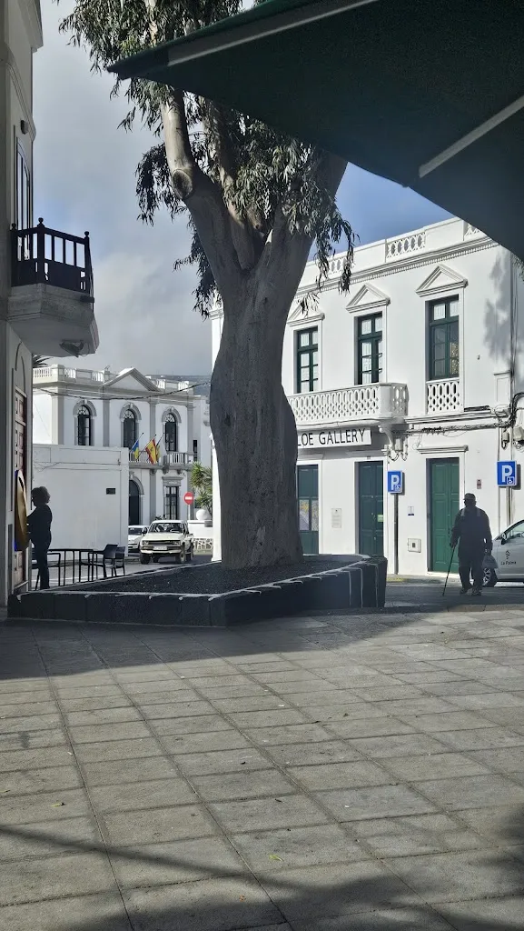 Antoine Houdinet_Bar Cafeteria El Rincón de Quino_Haría_recensione
