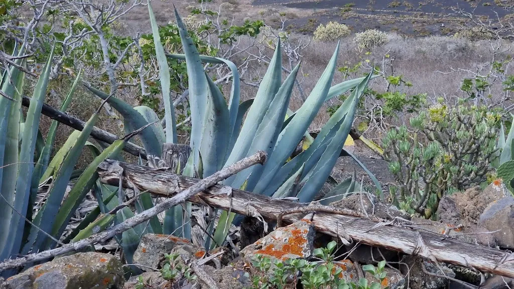 Casa Arcadio_Haría_slider_image_3