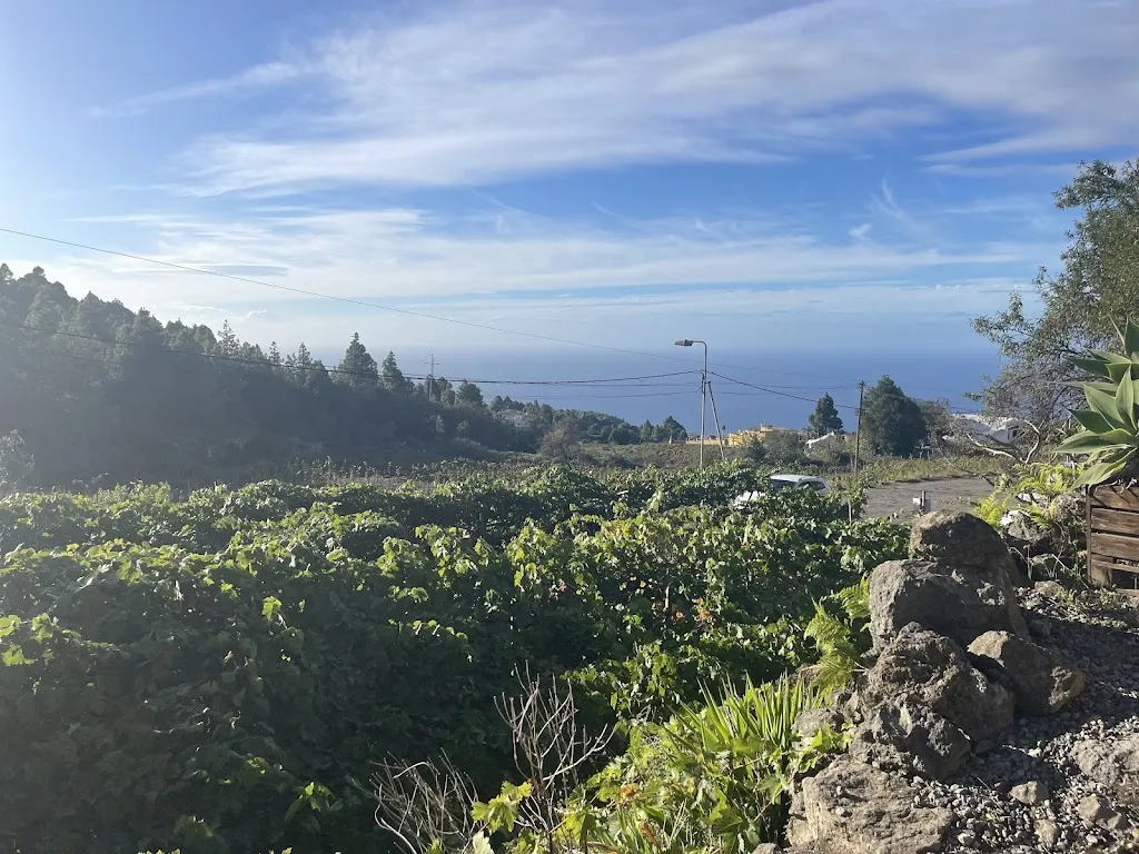 Steph Northan_Asador Guachinche El Miradero_La Guancha_review