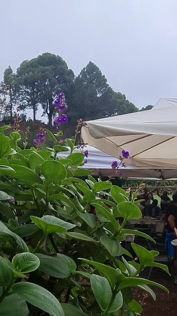 Asador Guachinche El Miradero_La Guancha_slider_image_2