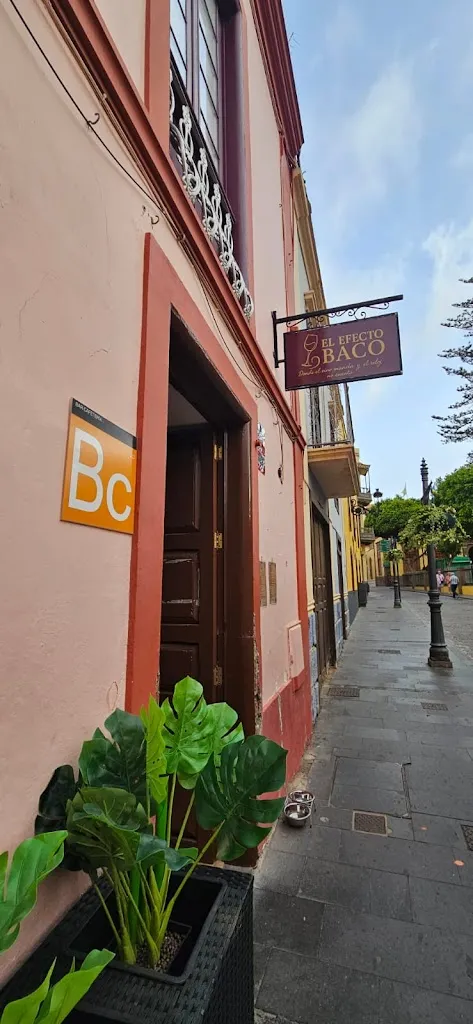 El Efecto Baco_Gáldar_slider_image_1