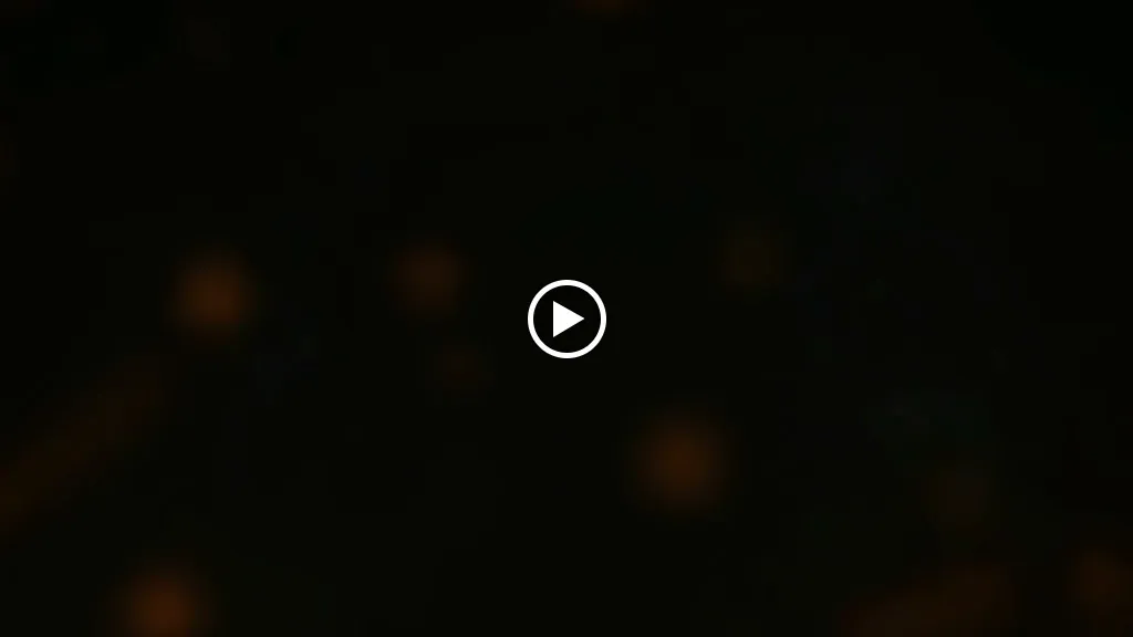 San Diego Grill_La Orotava_slider_image_2