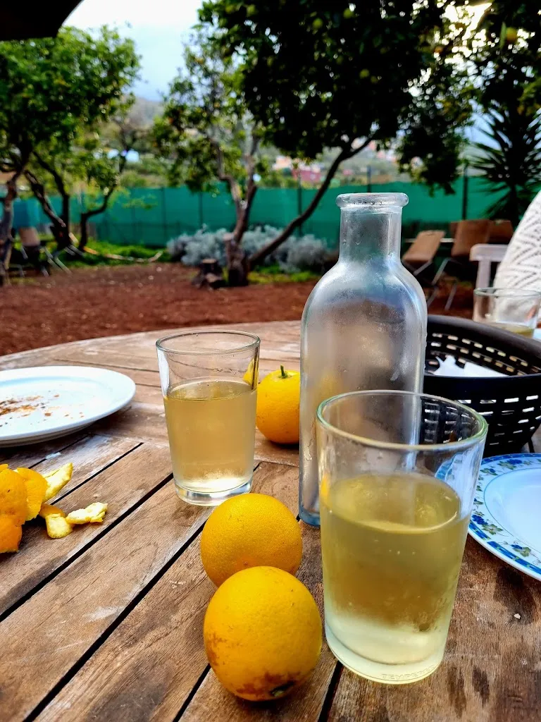 Viktorija Garliauskiene_Guachinche El Talegazo_La Orotava_review