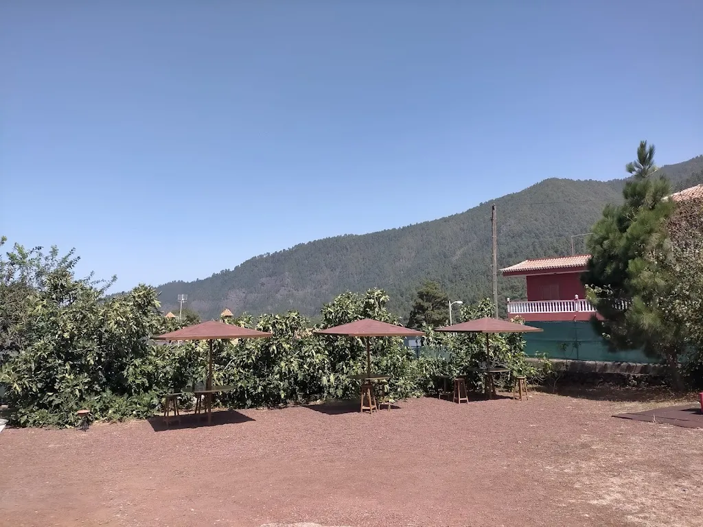 Tracy Eland_Restaurante Paso del Teide_La Orotava_review