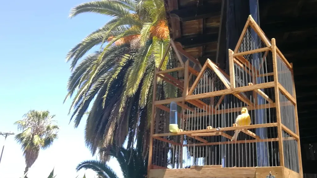 Casa Lercaro_La Orotava_slider_image_2