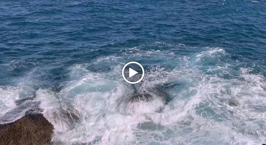 Blanco Mar Restaurante Tenerife_Lomo de Arico_slider_image_2