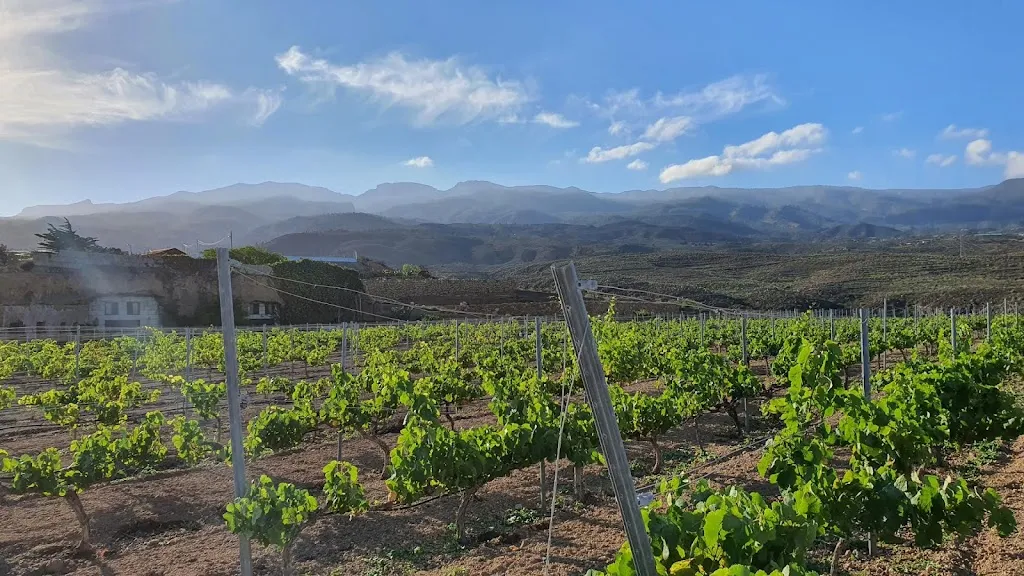 Finca El Rio_Lomo de Arico_slider_image_1