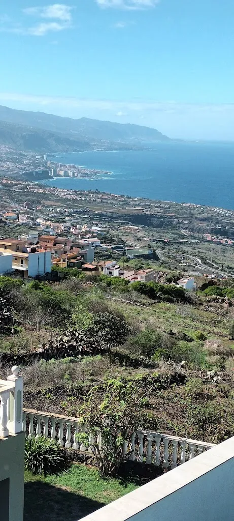 Suzanne Moss_Lomo Santo_La Matanza de Acentejo_review