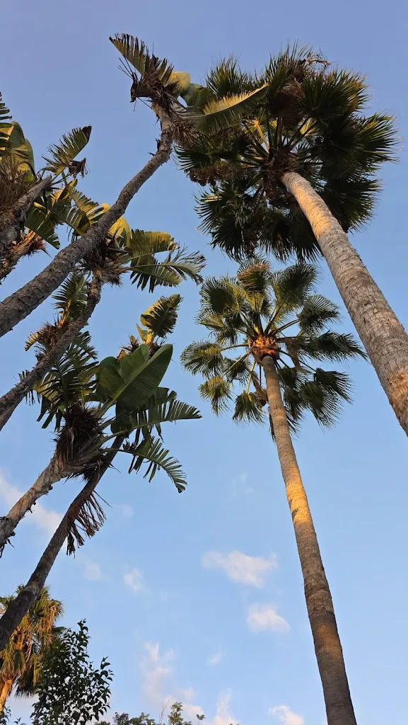 Jasmin Lüchinger_Felix Food & Wine_La Matanza de Acentejo_review