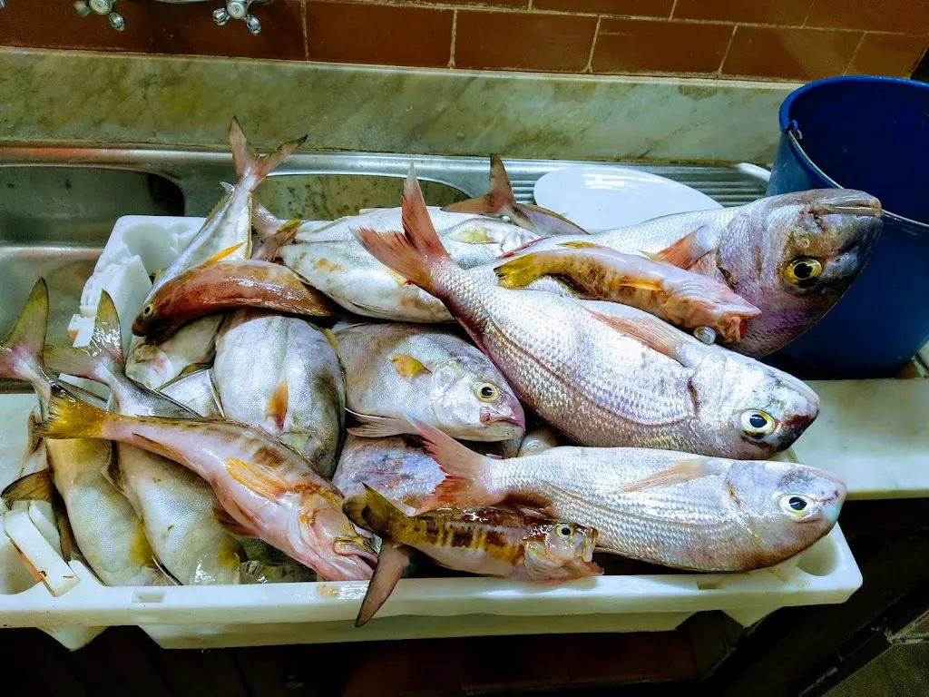 Menu_Restaurante Casa Placido 10%_La Matanza de Acentejo_image_7