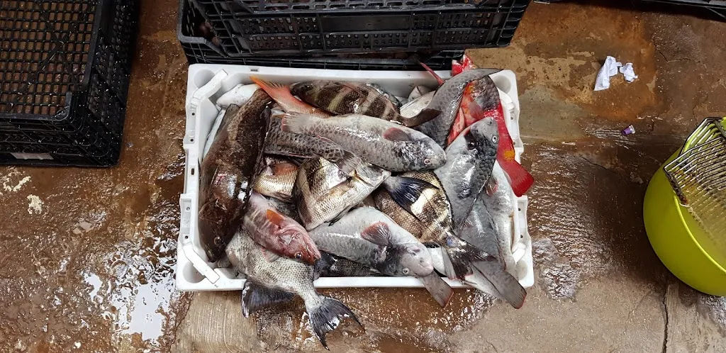 Menu_Restaurante Casa Placido 10%_La Matanza de Acentejo_image_9