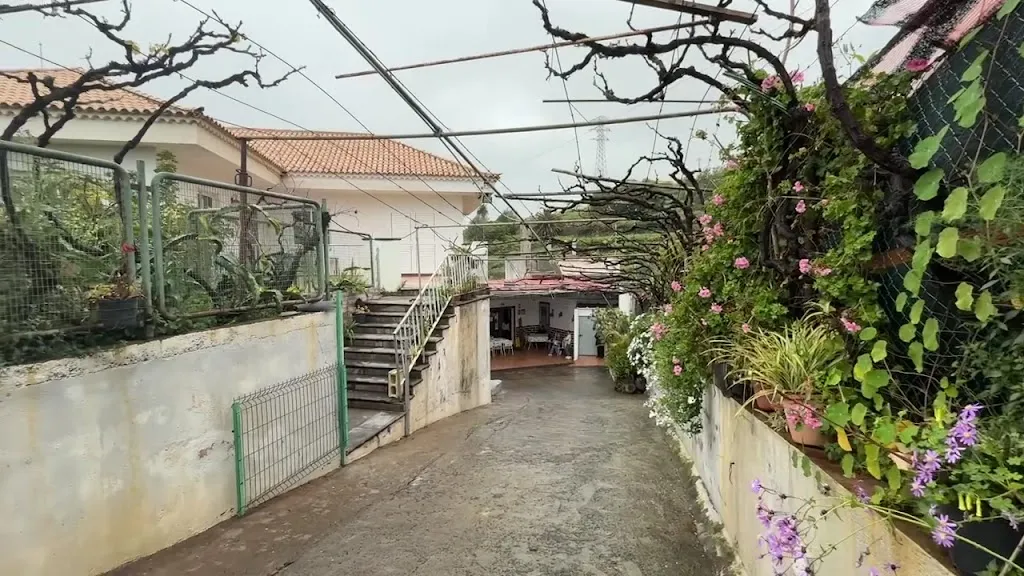 Alberto_Casa Goya_La Matanza de Acentejo_review