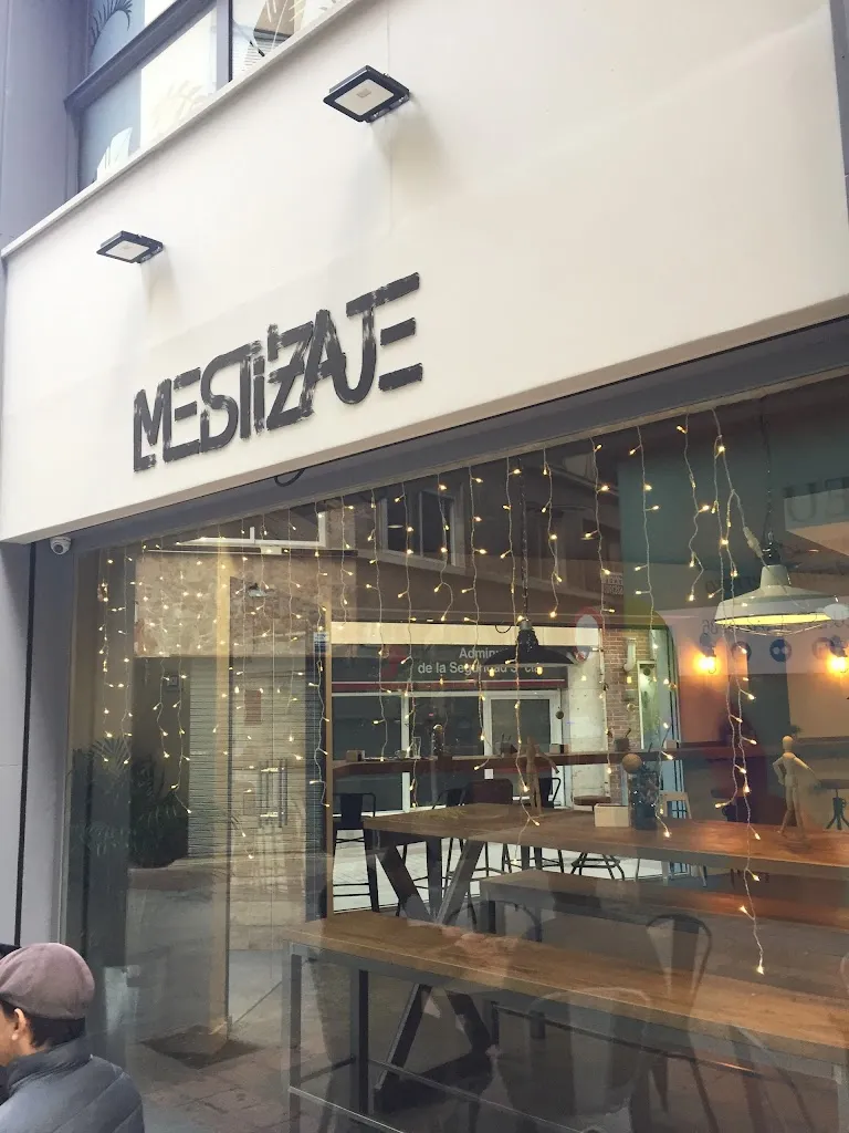 Mestizaje by Tomás López_Elche/Elx_slider_image_1