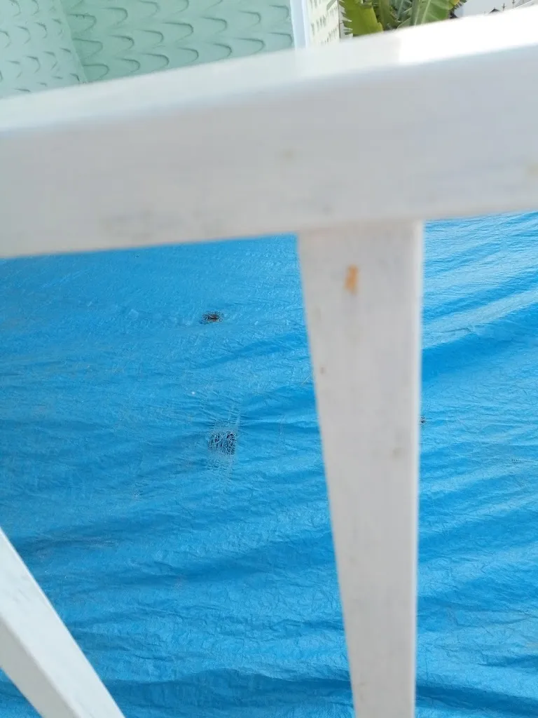 Santo Domingo La Victoria_La Victoria de Acentejo_slider_image_3