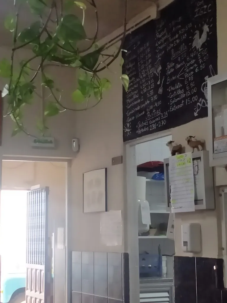 Menu_Bar Restaurante El Macho_La Victoria de Acentejo_immagine_1