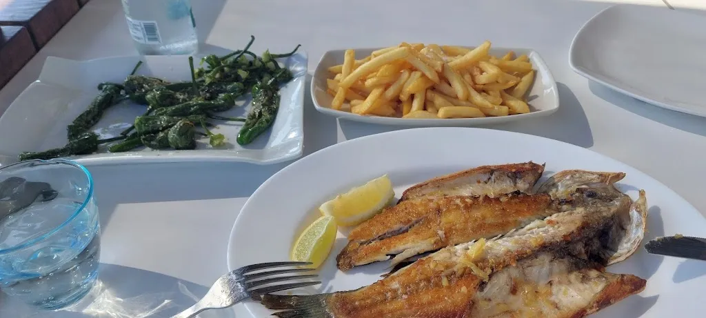 Wim Mallon_Kiosco 7_Los Llanos de Aridane_review