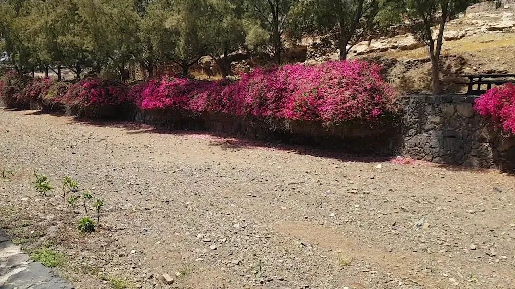 Restaurante Casa Isaitas_Pájara_slider_image_2