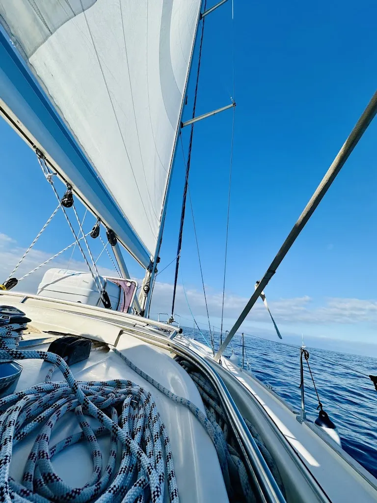 Vanessa Kobel Nordgren_Picarus Sailing Club, Tenerife - Los Gigantes, whale watching_Los Gigantes_review