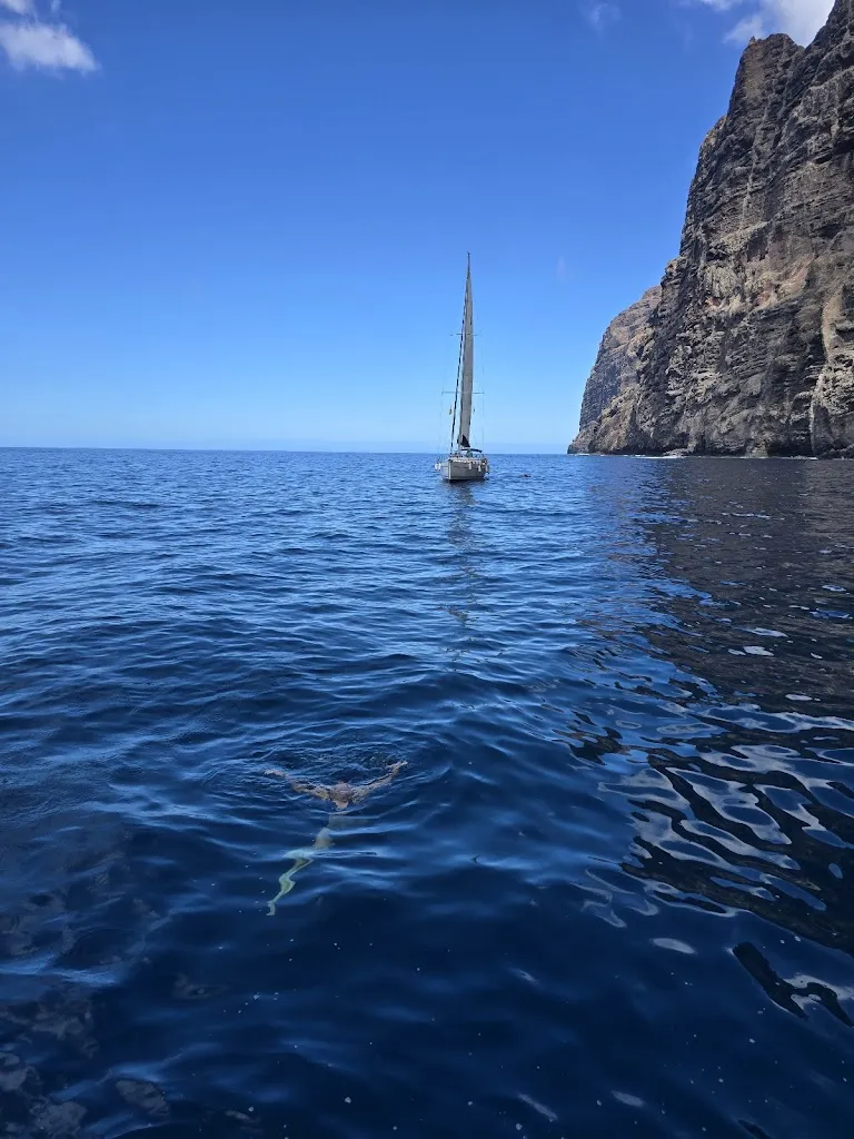 Picarus Sailing Club, Tenerife - Los Gigantes, whale watching_Los Gigantes_slider_image_1