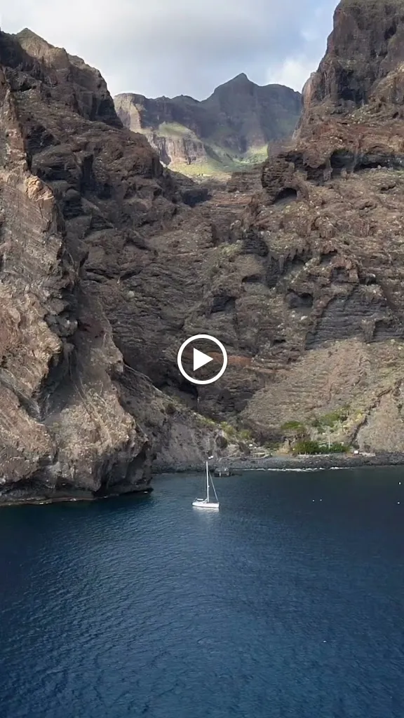 Picarus Sailing Club, Tenerife - Los Gigantes, whale watching_Los Gigantes_slider_image_2