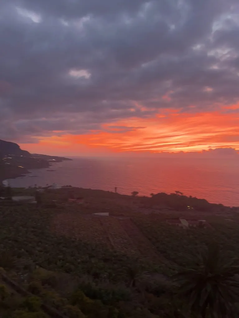 Manda Maley_Restaurante Cafetería Mirador San Pedro_Los Realejos_review