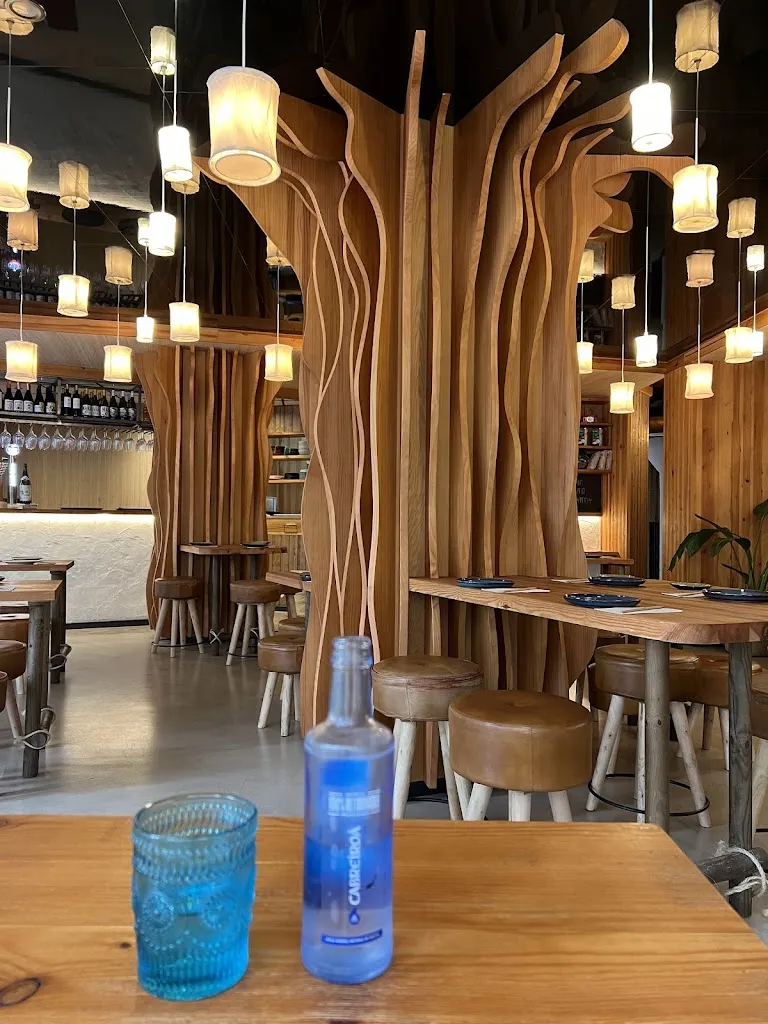 Jens Horslund Christensen_Kohlanta Elche_Elche/Elx_review