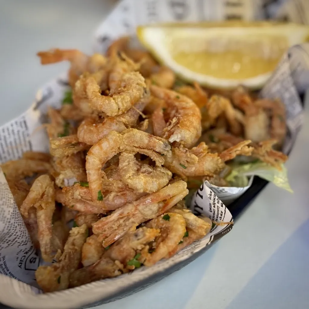 Francis Joseph Serina_Malabar Elche_Elche/Elx_review