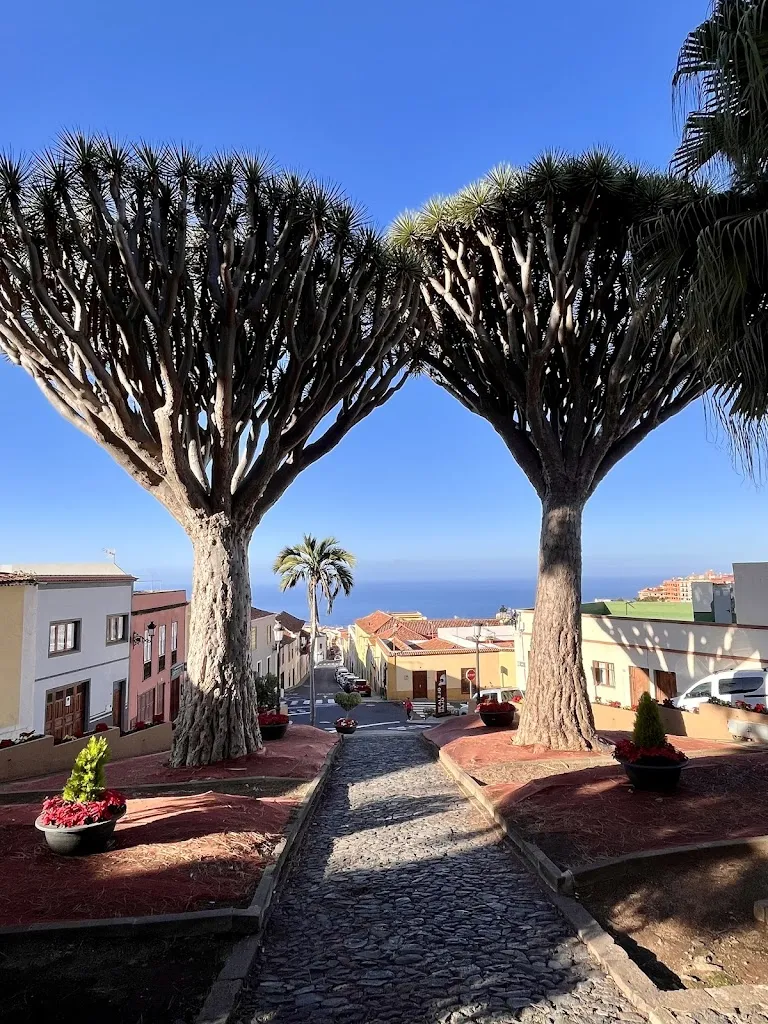 Zoltan Makai_Bar Taperio Las Palmeras_Los Realejos_review