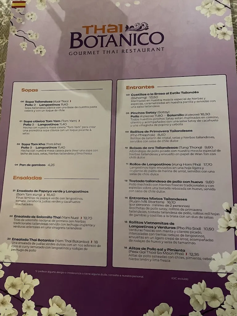 Menu_Thai Botanico | Authentic Thai Cuisine_Playa de las Américas_image_3