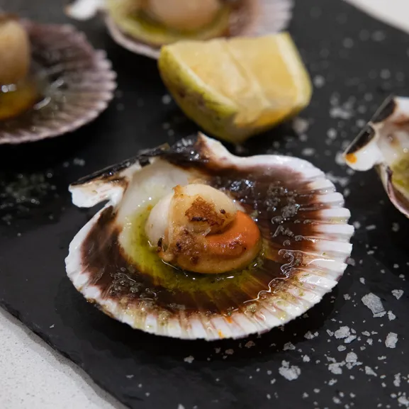 Mt83 Restaurante_Elche/Elx_slider_image_3