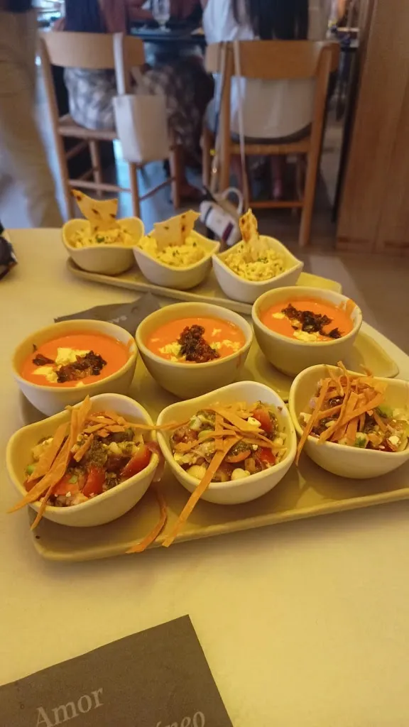 Bie Fransen_Saona_Elche/Elx_review