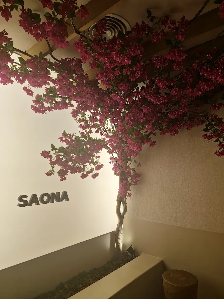 Valeria Novitskaia_Saona_Elche/Elx_review